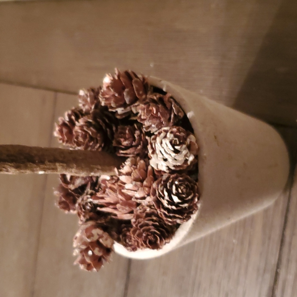 Sage & Co. Set of 2 pots - Picture 8 of 9